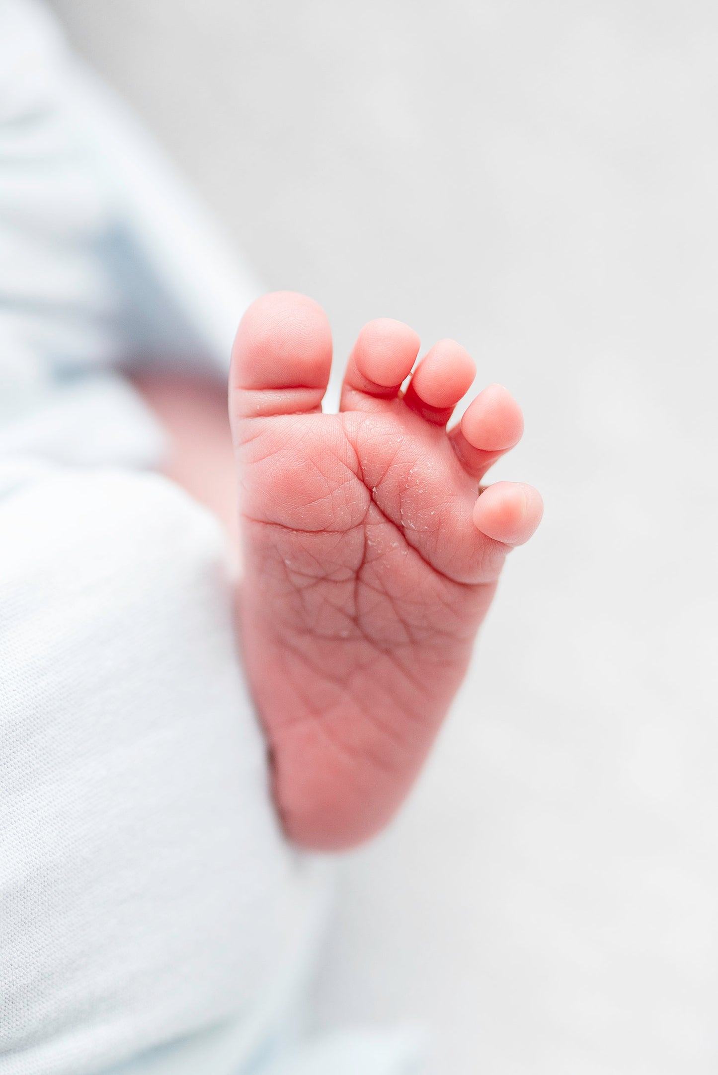 Newborn Photography